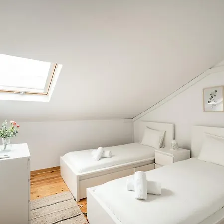 Akicity Anjos Splendid *